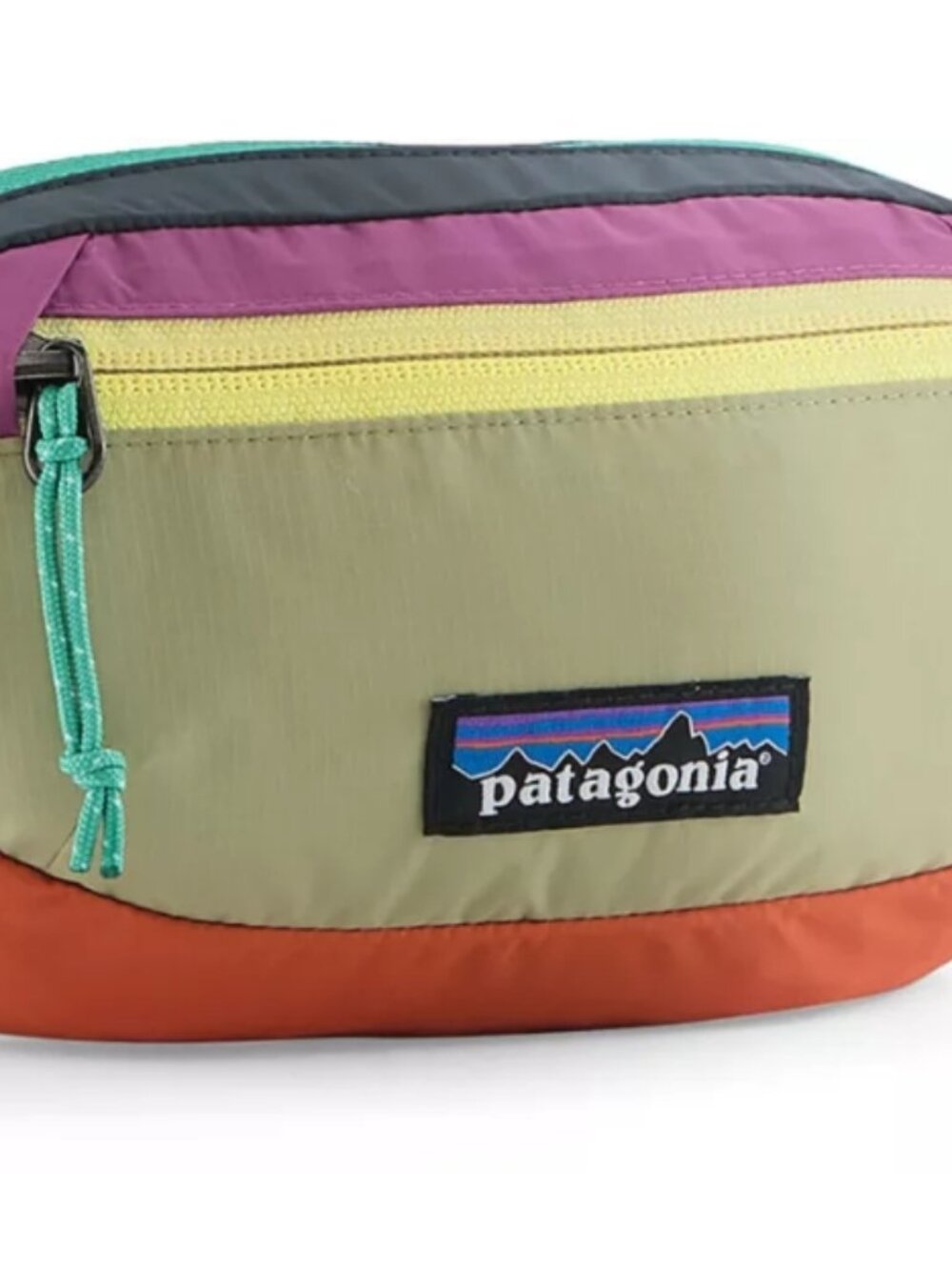 Patagonia Terravia Mini Hip Pack Pacthwork Gumtree Green Color NWT Unisex